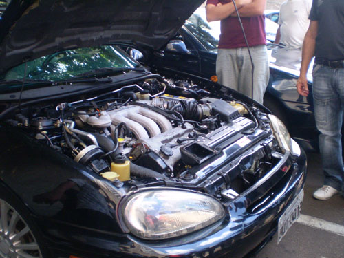 P7150045