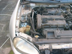 mx3prata 024.JPG