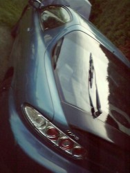 bild01405gl.jpg
