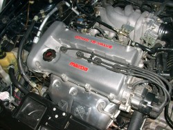EncontroVinhedo2010 005.JPG