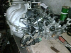 IMG00025-20110126-1703.jpg