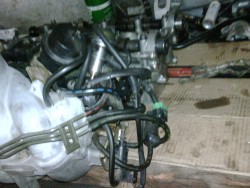 IMG00024-20110126-1702.jpg