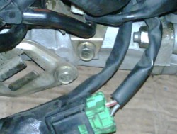 IMG00022-20110126-1701.jpg
