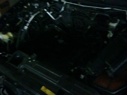 IMG00019-20110126-1610.jpg
