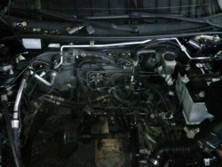 IMG00018-20110126-1610.jpg