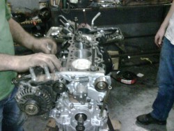 IMG00015-20110126-1539.jpg