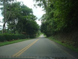 3 Entrando na cidade.JPG (561.84 KiB) Visualizado 727 vezes 3 Entrando na cidade.JPG