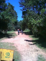 06-02-11_1100.jpg (299.37 KiB) Visualizado 515 vezes 06-02-11_1100.jpg