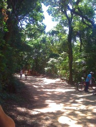 06-02-11_1122.jpg (296.83 KiB) Visualizado 520 vezes 06-02-11_1122.jpg